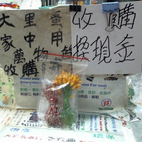 觀看圖片1