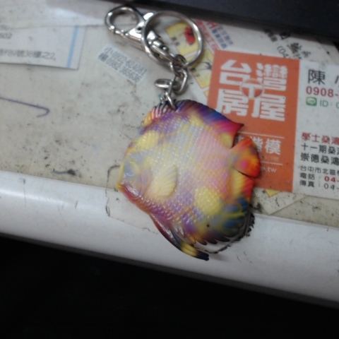 觀看圖片4
