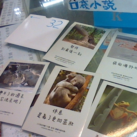 觀看圖片3