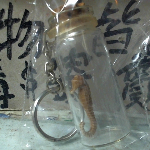 觀看圖片2