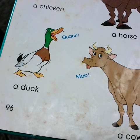 觀看圖片3
