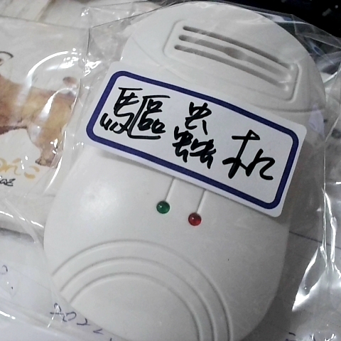 觀看圖片4