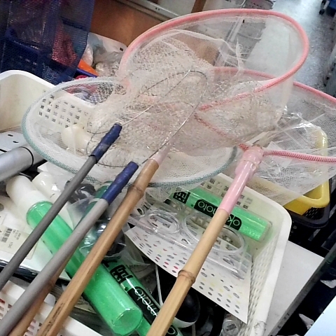 進入明細