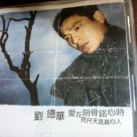 觀看圖片1