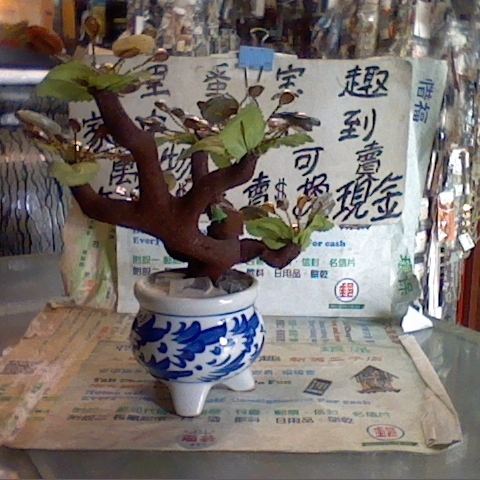 觀看圖片3