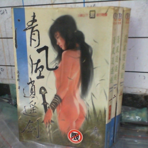 進入明細