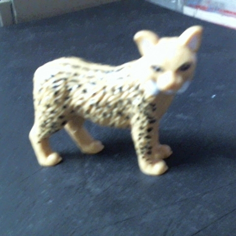 觀看圖片2