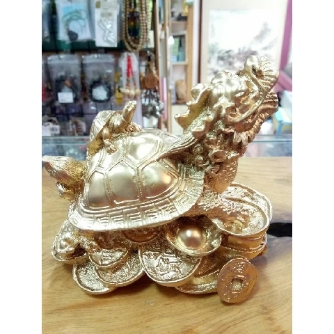 觀看圖片4