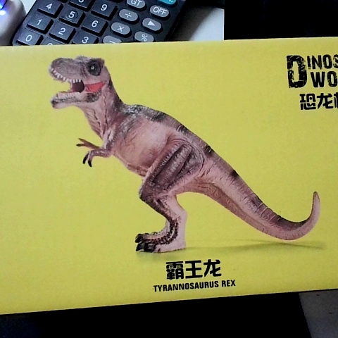 觀看圖片3