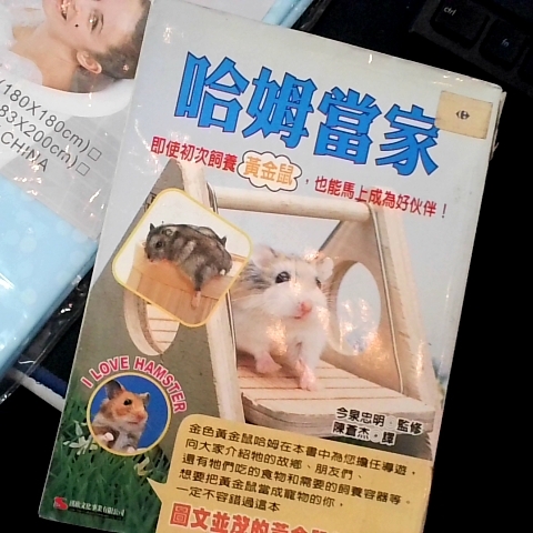 觀看圖片2