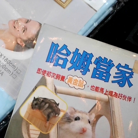 觀看圖片3