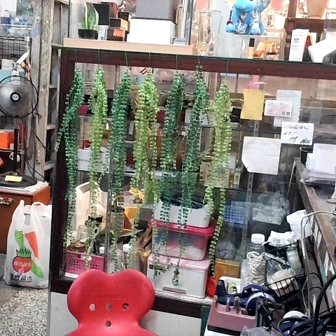 觀看圖片3