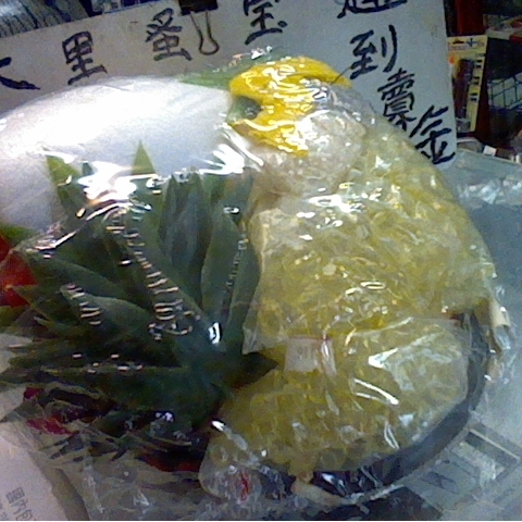 觀看圖片2