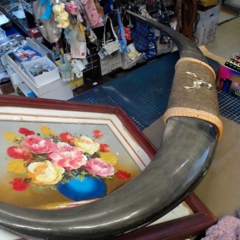 觀看圖片1