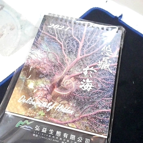 觀看圖片1