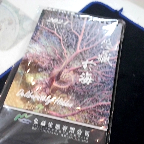 觀看圖片2