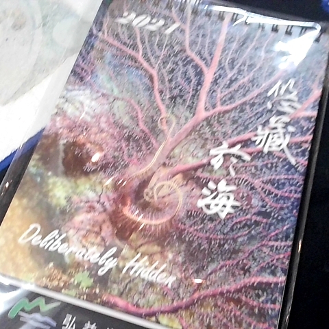 觀看圖片4