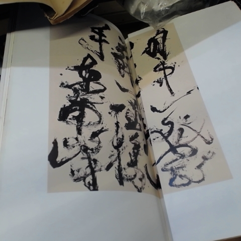 觀看圖片2