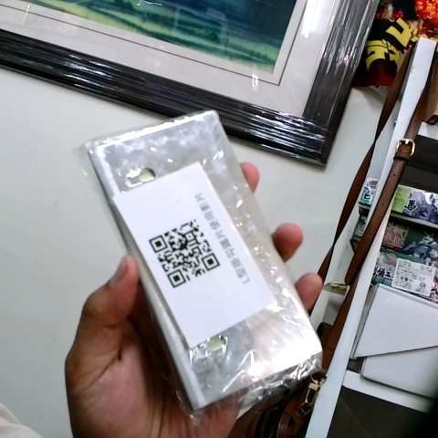 進入明細