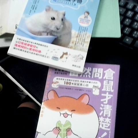 觀看圖片1