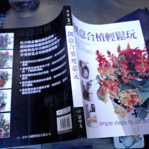 進入明細