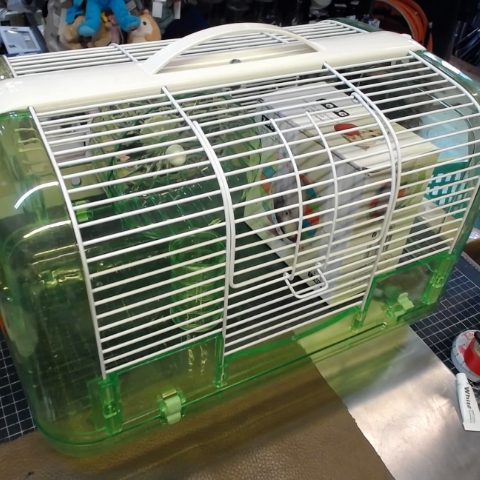 觀看圖片1