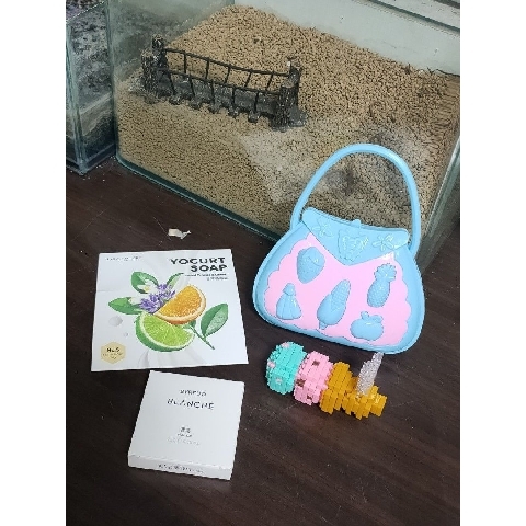 進入明細