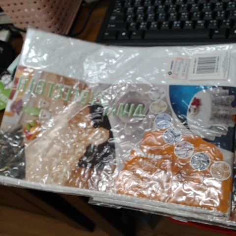 進入明細