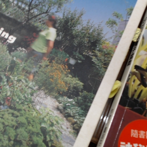 觀看圖片2