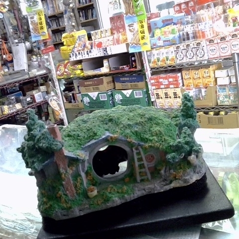 觀看圖片1