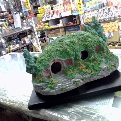 觀看圖片3