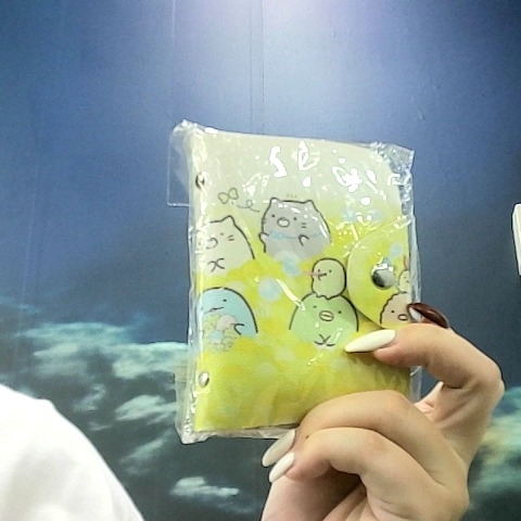 進入明細