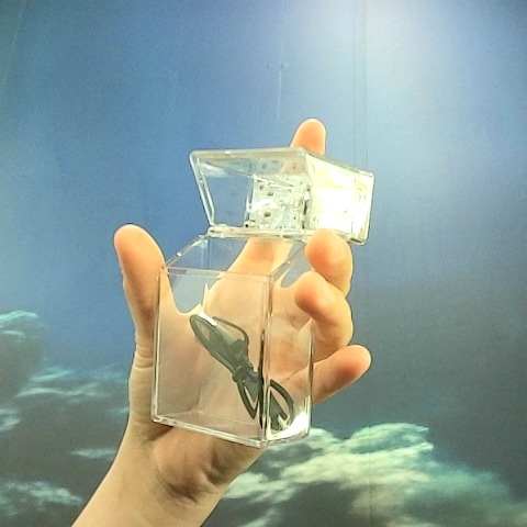 觀看圖片4