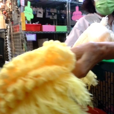 觀看圖片4