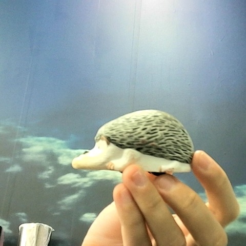 觀看圖片2