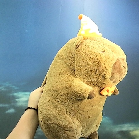 觀看圖片1