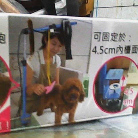 觀看圖片2