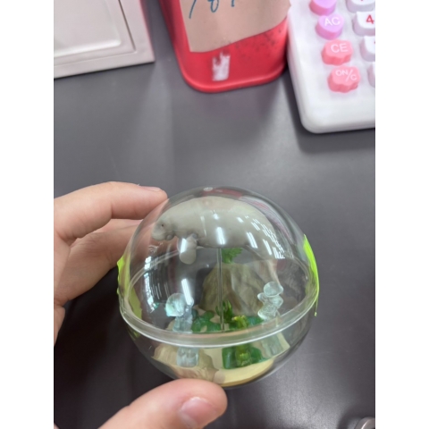觀看圖片3