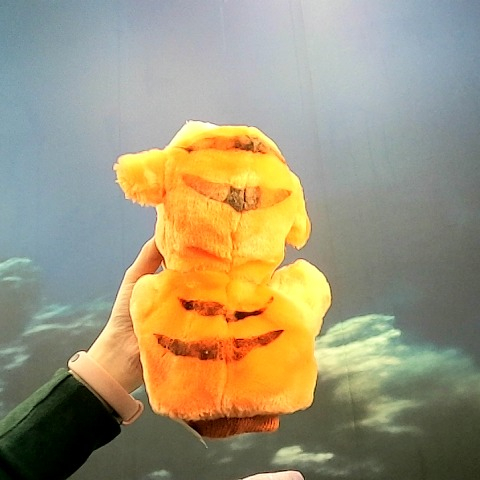 觀看圖片4