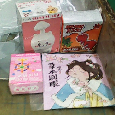 進入明細