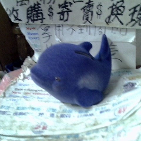 觀看圖片1