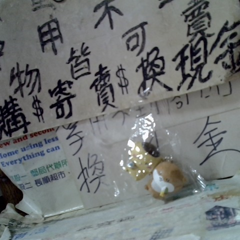 觀看圖片1