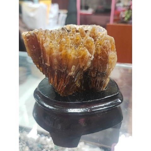 觀看圖片1