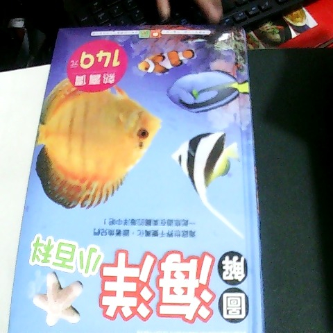 觀看圖片1