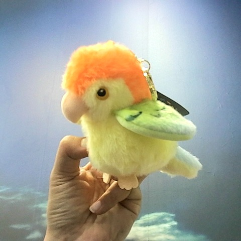 觀看圖片1