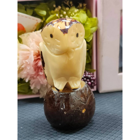 觀看圖片1