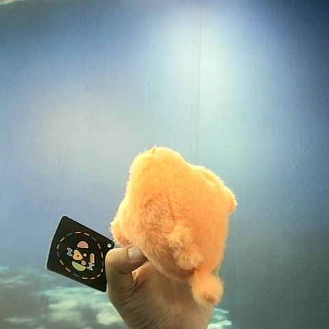 觀看圖片3