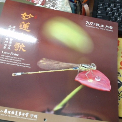 觀看圖片1