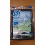 進入明細